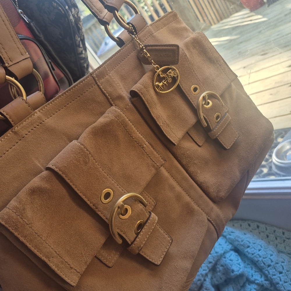 Suede Coach - Picture 7 of 7
